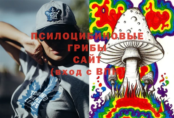 скорость Алзамай