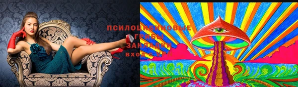 шишки Алексин