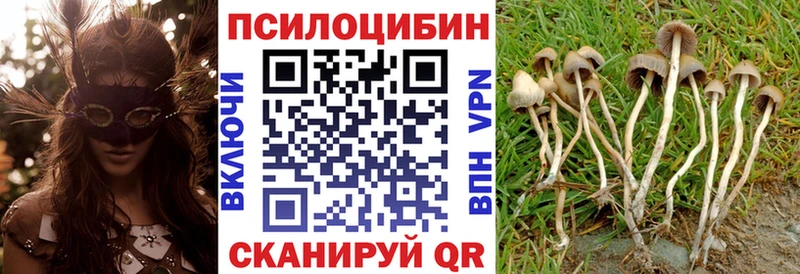 Галлюциногенные грибы ЛСД  Камешково 